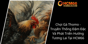 Choi Ga Thomo Truyen Thong Dam Dac Va Phat Trien Huong Tuong Lai Tai Hcm660