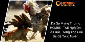 Da Ga Mang Thomo Hcm66 Trai Nghiem Ca Cuoc Trong The Gioi Da Ga Truc Tuyen0