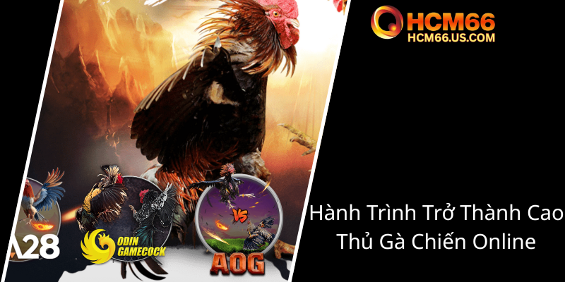 Đá Gà Mạng Thomo HCM66 - Trải Nghiệm Cá Cược Trong Thế Giới Đá Gà Trực Tuyến 2 Hanh Trinh Tro Thanh Cao Thu Ga Chien Online0
