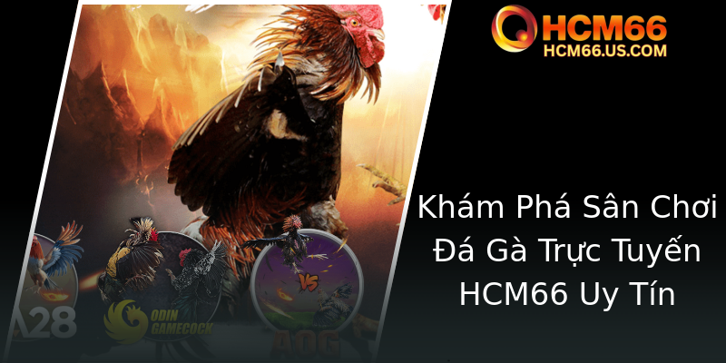 Đá Gà - Sân Chơi Trực Tuyến Đẳng Cấp Cùng HCM66 Tối Ưu Trải Nghiệm 1 Kham Pha San Choi A Ga Truc Tuyen Hcm66 Uy Tin