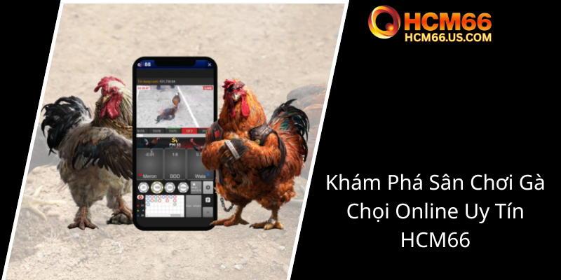 Đá Gà Chọi Trực Tiếp - Trải Nghiệm Đẳng Cấp Tại HCM66 Và Hội Chơi Gà Online 1 Kham Pha San Choi Ga Choi Online Uy Tin Hcm660
