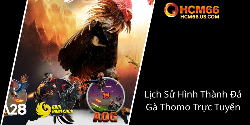 Chọi Gà Thomo - Truyền Thống Đậm Đặc Và Phát Triển Hướng Tương Lai Tại HCM66 1 Lich Su Hinh Thanh Da Ga Thomo Truc Tuyen0