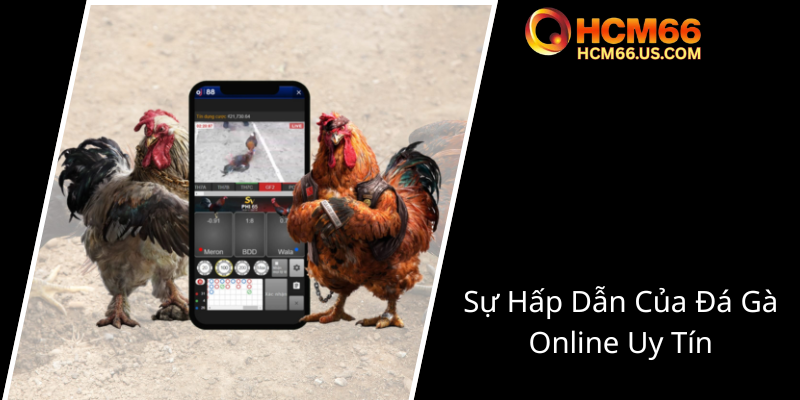 Đá Gà Mạng Thomo HCM66 - Trải Nghiệm Cá Cược Trong Thế Giới Đá Gà Trực Tuyến 1 Su Hap Dan Cua Da Ga Online Uy Tin0