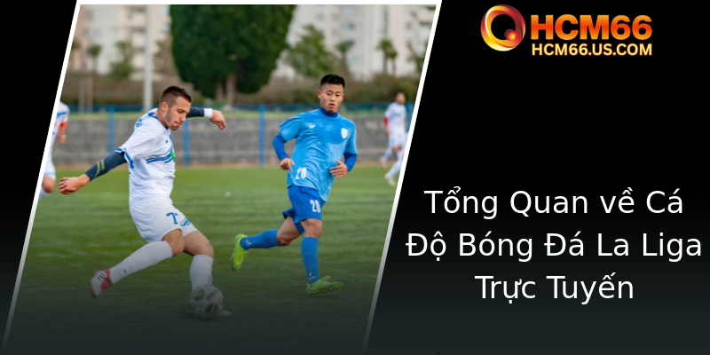 Khám Phá Cá Độ La Liga - Cơ Hội Chiến Thắng Cực Kỳ Hấp Dẫn Với HCM66 1 Tong Quan Ve Ca O Bong A La Liga Truc Tuyen