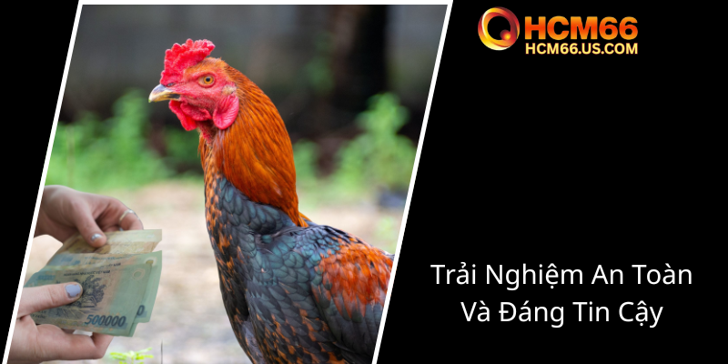 Đá Gà Mạng Thomo HCM66 - Trải Nghiệm Cá Cược Trong Thế Giới Đá Gà Trực Tuyến 3 Trai Nghiem An Toan Va Dang Tin Cay0